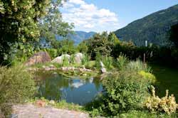 Pension Wolfbrunn im Mai 2009